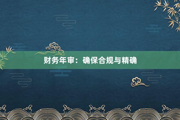 财务年审:确保合规与精确